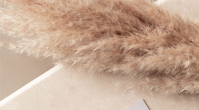 In card visit ở Tây Ninh – In Ấn Gia Huy in card visit tây ninh