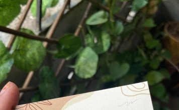 in-the-cam-on-tay-ninh