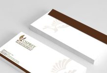 in-bao-thu-cong-ty-tay-ninh