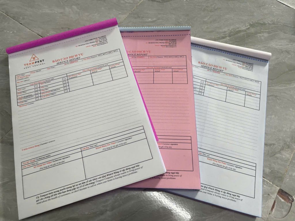 in biên bản kiểm kê hàng hóa Long An